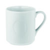 RIBMUG
