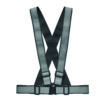 ALLVISIBLE+