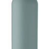 GEISER