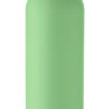 GEISER
