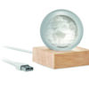 GLOBE LIGHT