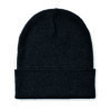 BEANIX
