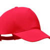 BICCA CAP