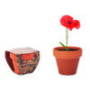 RED POPPY